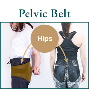 image of guardner belt pointing where the hips is 